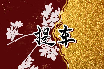 2025年農歷四月初六提車好不好 宜買新車吉日查詢