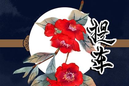 2025年農歷二月初六是提車好日子嗎 今日提新車好不好