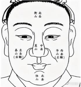 面相學 毛發,面相學 毛發圖解