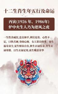 屬虎的最佳事業搭檔 從五行屬性看屬虎人事業運