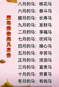 生肖馬2024年有喜事嗎 生肖馬2024躲不過的喜事