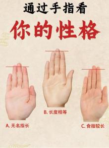 男人手指短粗的人命運