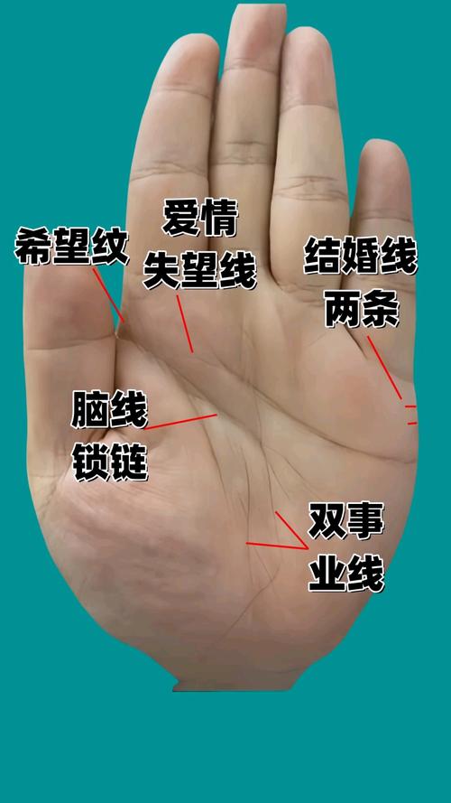 更容易成功的手相特征