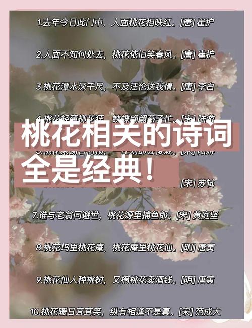讓你早日摘得桃花歸的風水