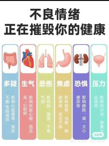 透過手感預知你的身體健康