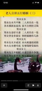 男劍鋒金女大林木婚配好嗎