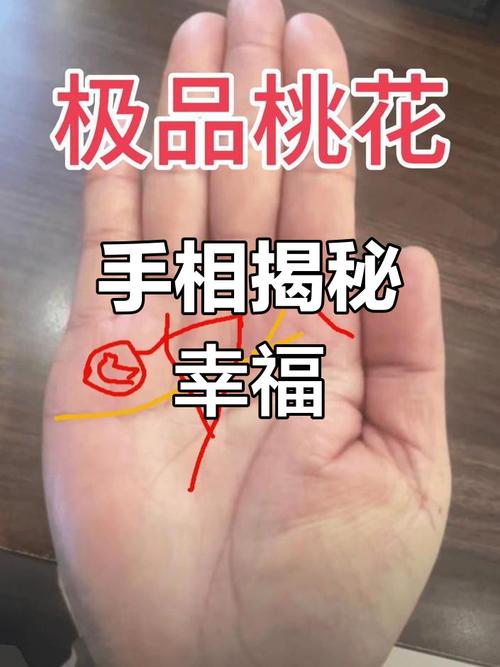 手相桃花線在哪里