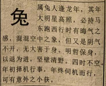 屬兔人2024年運勢運程每月運程好不 屬兔的人2024年的運勢及運程免費