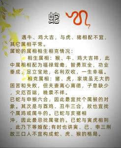 屬蛇人的婚姻最佳配偶是什么呢