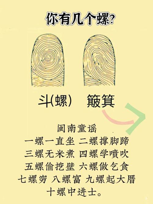 雙斗紋算是幾個斗 命運如何