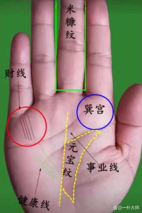 女富豪手相的共同特征一生錢財不缺