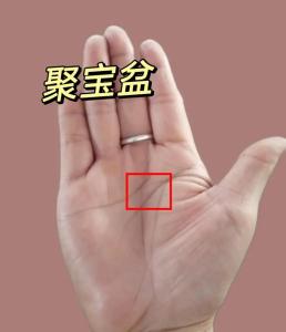 斷掌合成的三角紋 大吉大利一生富貴