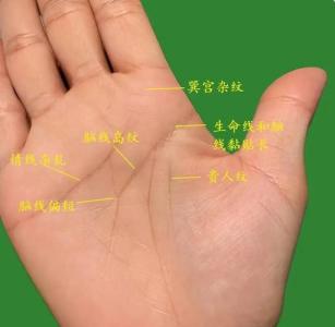 手相 貴人線 貴人相助事半功倍