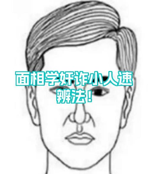 什么面相奸詐 不重視感情