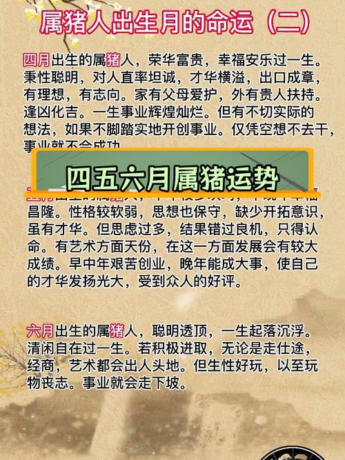 屬豬哪個時辰出生最好 命運好不好