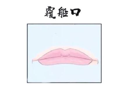 全面解析：覆船口面相圖解