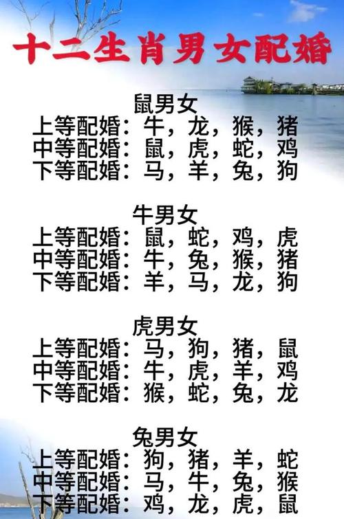 屬鼠的真愛是什么生肖 生肖屬鼠人幾歲會遇到命中對象