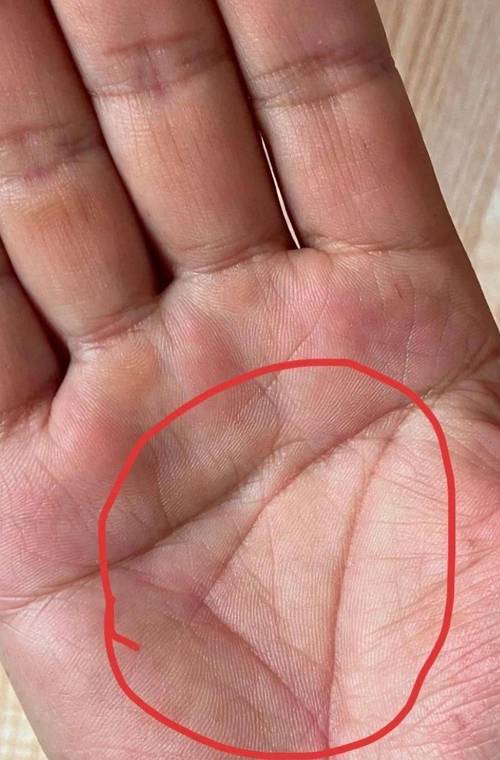 吉祥的女人手相特征 三約紋錢財(cái)豐厚