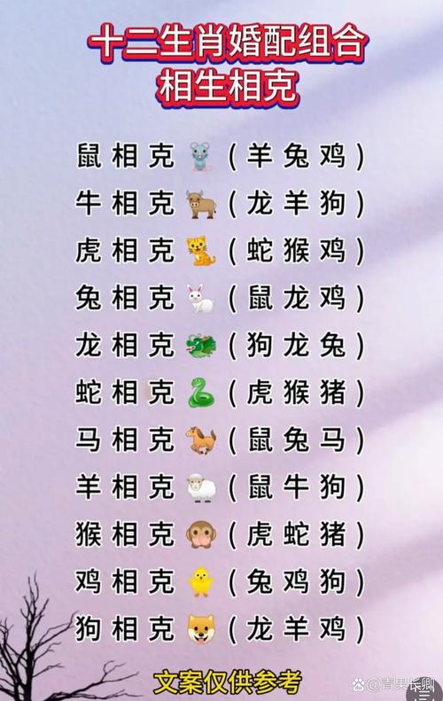 婚配相克屬相表大全 生肖配對表最新