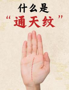通天紋手相 第六感很強