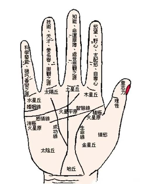 女人右手大拇指有痣代表什么含義