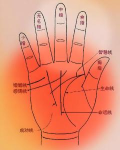 男人財(cái)運(yùn)手相圖解大全 注定有錢(qián)的手相