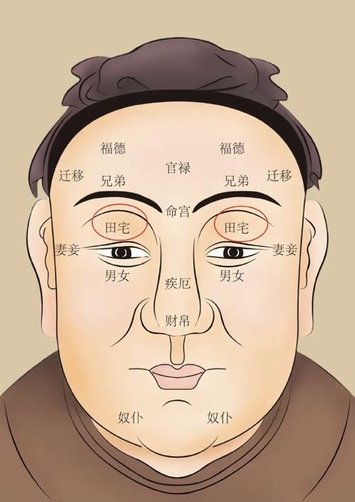 眉毛壓眼面相不利于婚姻是真的嗎？