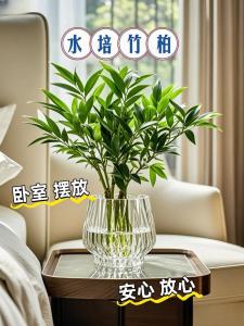 風(fēng)水挽回夫妻感情有用嗎 床頭擺放合適的綠植