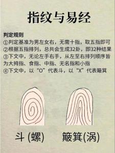 手相：斗和簸萁指紋的知識