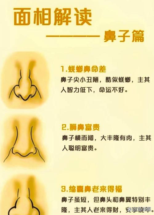 男人鼻子面相圖解大全 什么樣的鼻型最好命富貴