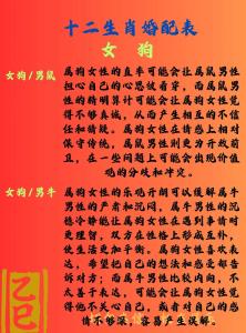 屬狗的女人性格 生肖男馬和生肖女狗配嗎