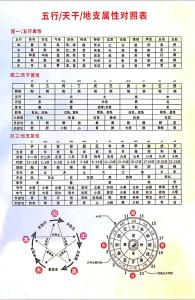 十二地支五行屬性精解