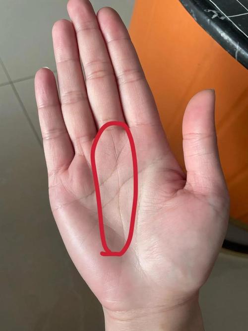 最罕見的手相通天紋