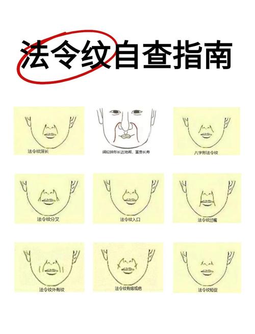 圖文解析：法令紋的位置