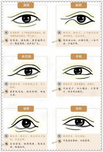 麻衣神相33種眼型
