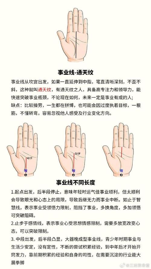 女人手相事業線怎么看事業型女強人？
