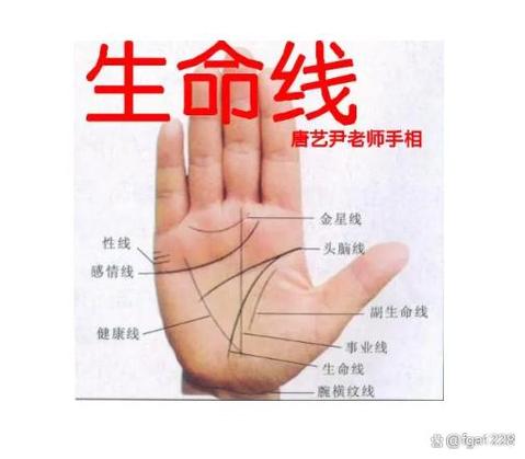生命線斷斷續續的人容易生病且初婚緣分薄！