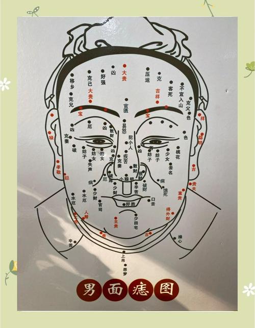 男人臉上痣圖解 面相 高清晰 鼻頭痣