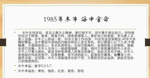 1985年海中金命的事業 職業相合事業有成