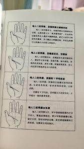 智慧線很短代表什么