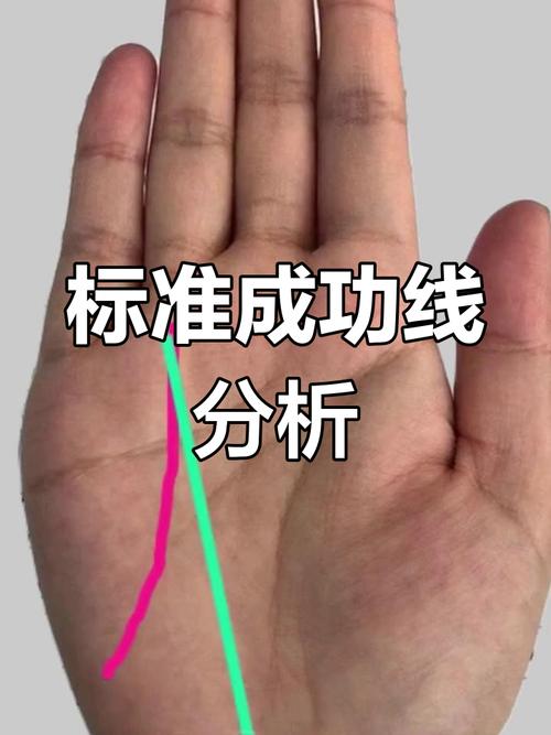 手相成功線圖解大全 手相成功線怎么看