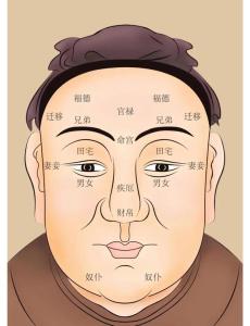 有此種面相的人一生順風(fēng)順?biāo)歉粍t貴