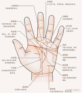 手相三條線分別是什么 影響一生運(yùn)勢(shì)進(jìn)程