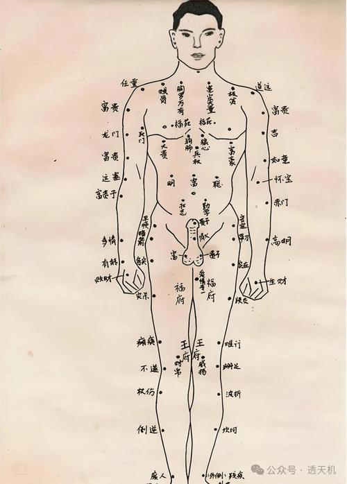 男人背上長痣代表一生無憂，逍遙自在？