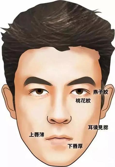 鼻梁寬的男人面相 桃花運旺且財運興旺