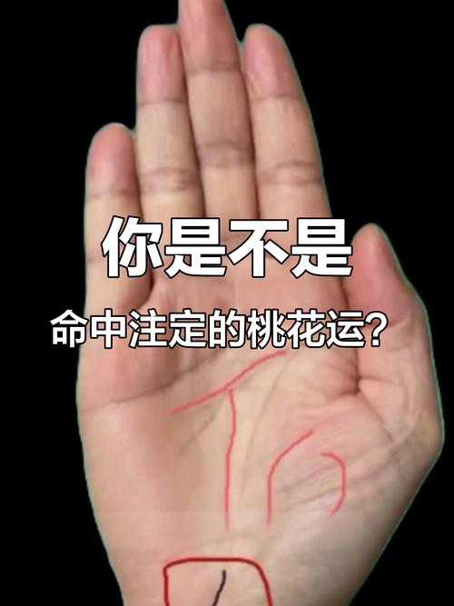從手中指紋來看個人的桃花運好壞