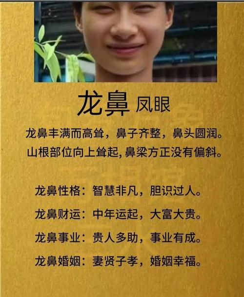 一看就不是常人的面相 有龍氣的人不要惹