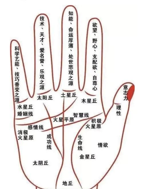 看手紋算命圖解 手紋算命圖解大全