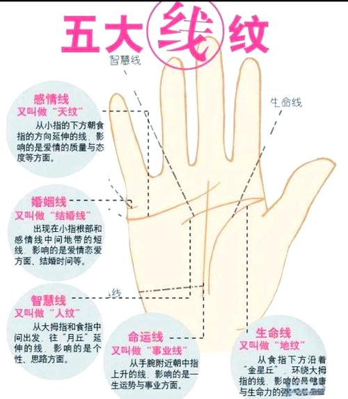 子女線長短代表什么，代表與子女緣分的深淺嗎？
