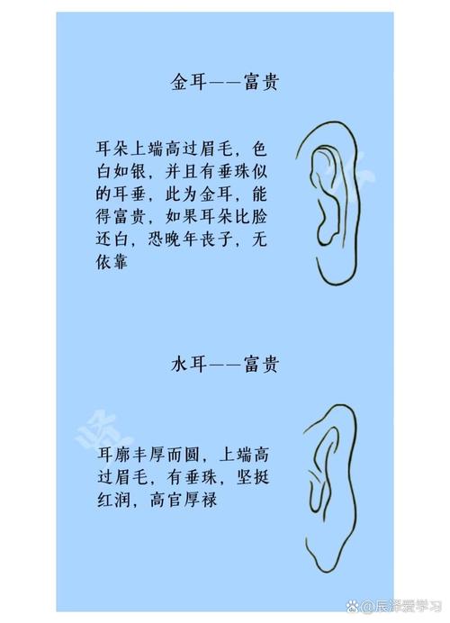 女生耳朵形狀圖解大全 最具領導型刀環(huán)耳